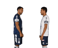 Liga Mx Cf Pachuca Sticker by Club Pachuca Tuzos