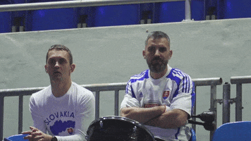 fedcup celebrate tennis fan drummer GIF