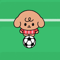Soccer GIF