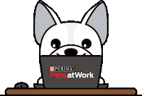 Perro Sticker by Nestlé Purina Argentina
