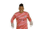 Sport Team Sticker by National Women's Soccer League