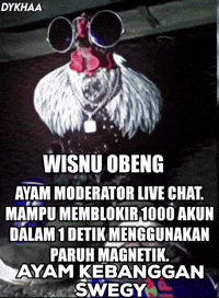 Funny Chicken GIF