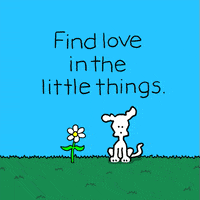 I Love You Flower GIF by Chippy the Dog