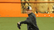 Baseball Mlb GIF by Rawlings Tigers