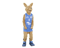 social-media-easycredit basketball easycredit ellihoop easycredit-bbl Sticker