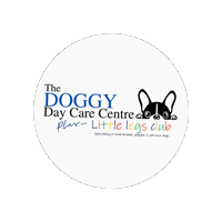 Ddcc Sticker by The Doggy Day Care Centre Ltd.
