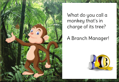 Monkey GIF