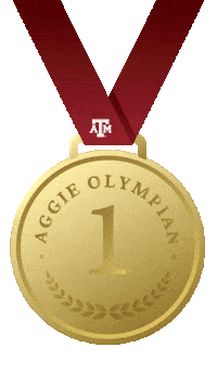 Texas Am Gold Sticker by Texas A&M University