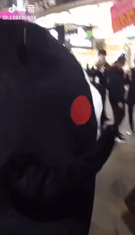 party time GIF