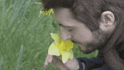 flowers earth GIF by funk