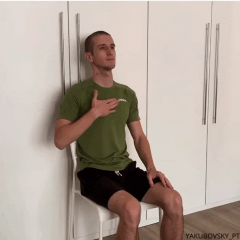 svitlanayevsieieva giphyupload GIF