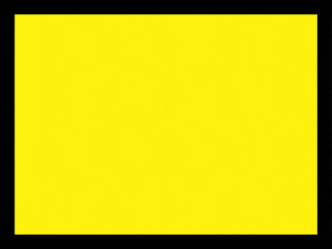PrivataMX giphygifmaker GIF