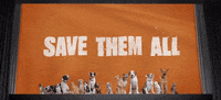 adopt best friends GIF by Best Friends Animal Society