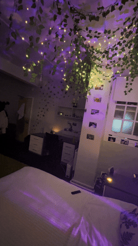 nikitaraina giphyupload GIF
