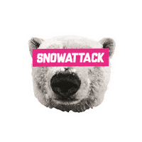 snowattack Sticker