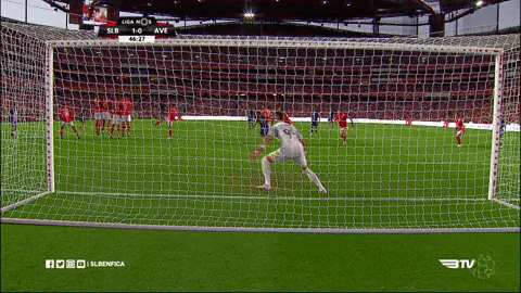 sl benfica slbgifs GIF by Sport Lisboa e Benfica