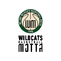 Basket Fip Sticker by Wildcats Basketball Motta