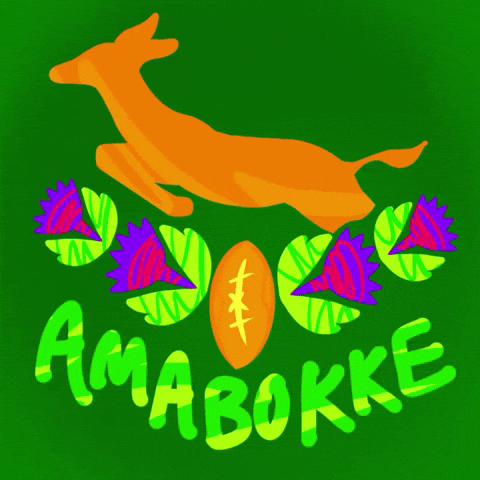 South Africa Rugby GIF