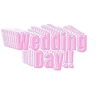 Wedding Day Sticker by Giada Genzo