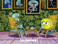 season 6 GIF by SpongeBob SquarePants