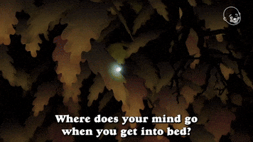 Where Does Your Mind Go When You Go To Bed?