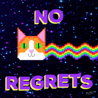 Sorry Cat GIF by PEEKASSO