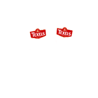 Summer Beer Sticker by @texelsbier