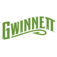 Sticker by Gwinnett Stripers