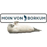 Beach See Sticker by KITEYLOOPY