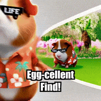 Guinea Pig Spring GIF by Guinea Gambino