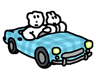 Car Drive Sticker