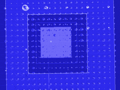 glas2019 GIF