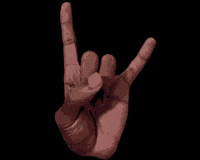 Raqworld chicago rw smallwarhorse lqur GIF