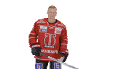 Celebration Goal Sticker by Örebro Hockey