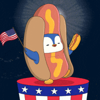 United States Penguin GIF by Pudgy Penguins