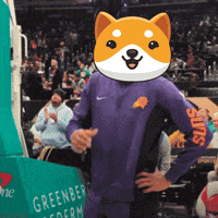 Money Crypto GIF by Baby Doge Coin