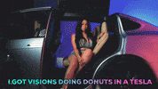 magthepoboy tesla elon musk elon ray gray GIF