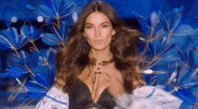 vsfs 2017 GIF by Victoria's Secret Fashion Show