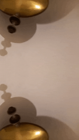 Simongip giphyupload GIF