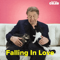 Al Pacino Puppy GIF by BuzzFeed