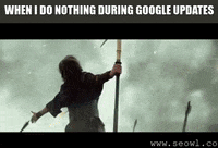 seowl_app  GIF