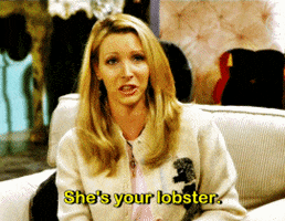 phoebe buffay GIF