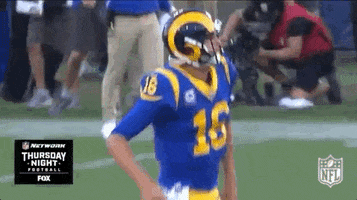 2018 Nfl Football GIF by NFL