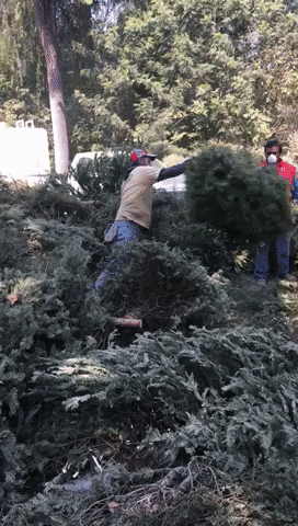 nurynadamas giphygifmaker GIF
