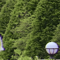 K Pop Running GIF