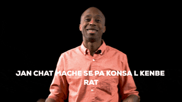 Haitian Flag Haiti GIF by Bernardson