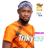 Bbnaija Sticker by Big Brother Naija