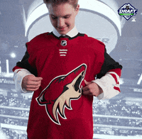 nhl sports sport hockey nhl GIF