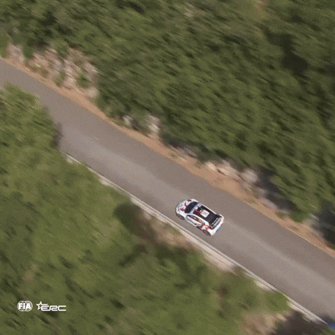 Erc GIF by FIA European Rally Championship
