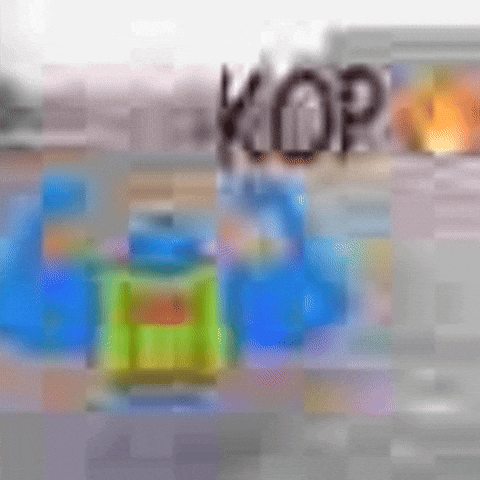 Brrd GIF